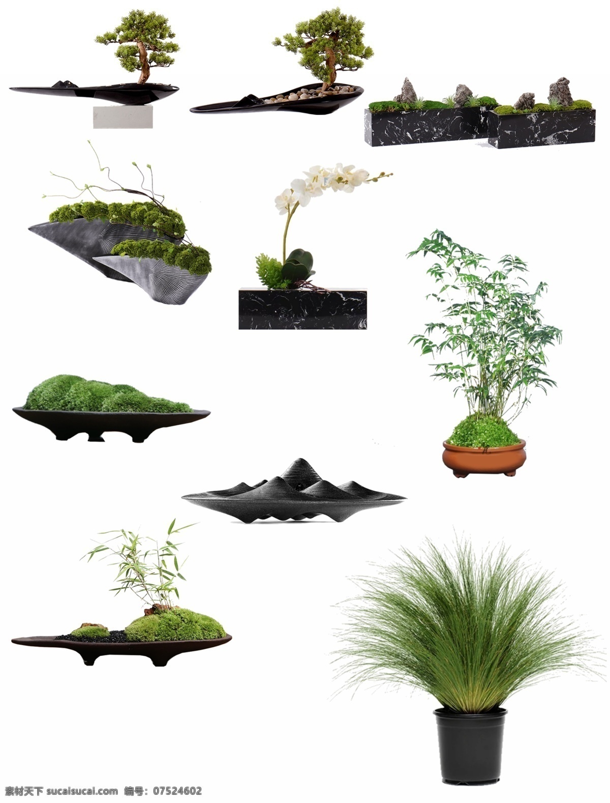 免 抠 高清 植物 盆栽 高清植物 免抠图 室内 盆景 现代盆栽 绿植 环境设计 室内设计