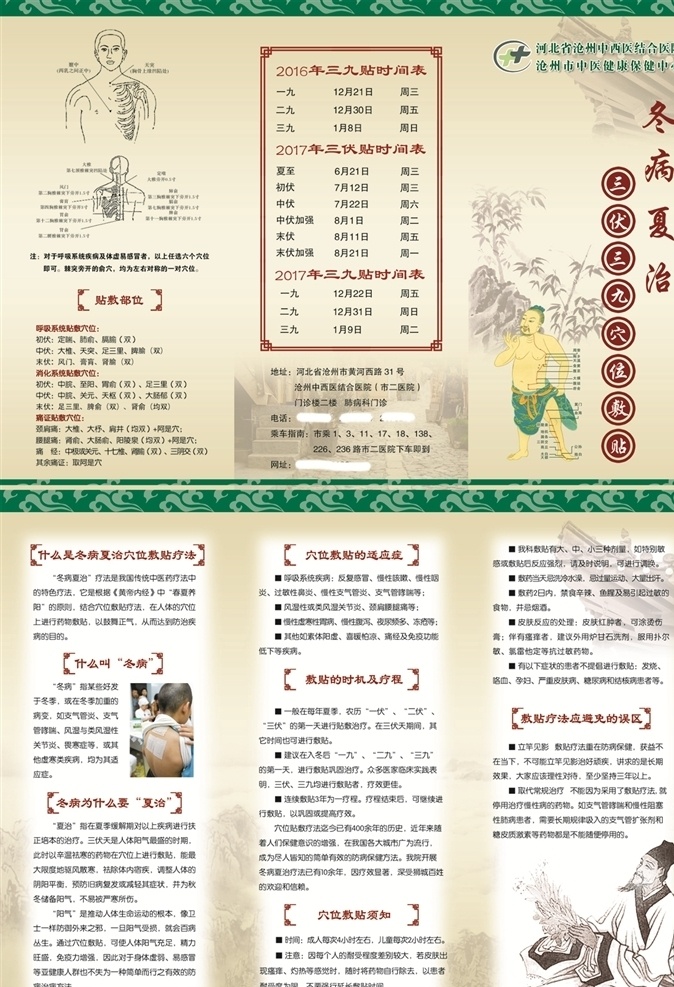 醫(yī)院彩頁(yè) 醫(yī)院三折頁(yè) 冬病夏治 中醫(yī)彩頁(yè) 三九貼