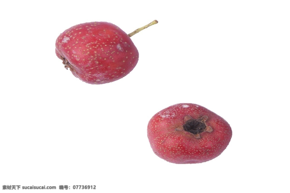 两个 圆圆 大 山楂 美味可口 树上结的 红色 酸溜溜 水果 圆形 营养美味健康 开胃 熬制罐头 生吃 做糖葫芦