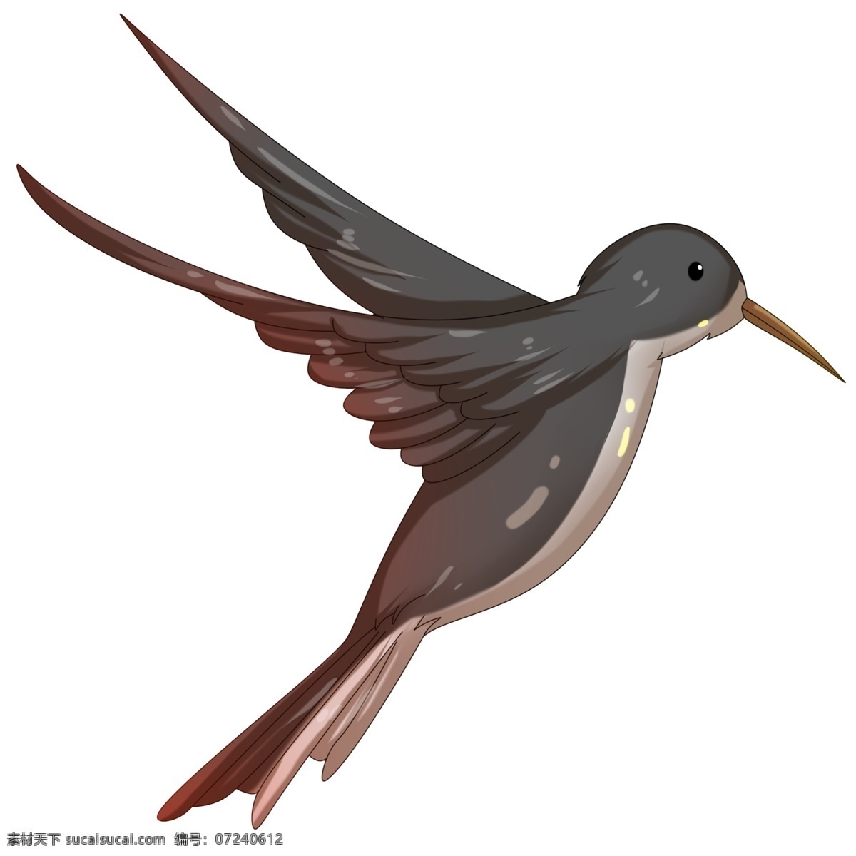 深灰色 燕子 插画 卡通燕子 飞行的燕子 翅膀 羽毛 动物 深灰色的燕子 下落 收拢