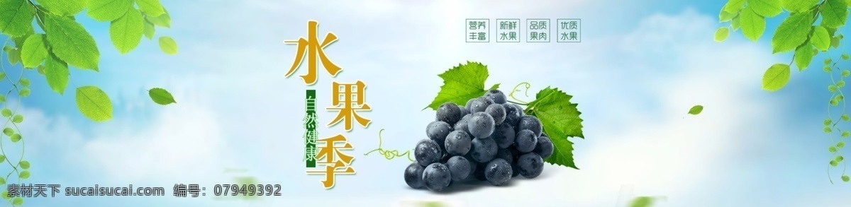新鲜 水果 葡萄 首页 轮 播 海报 新鲜水果 背景 绿叶 蓝天白云 黑葡萄 创意设计
