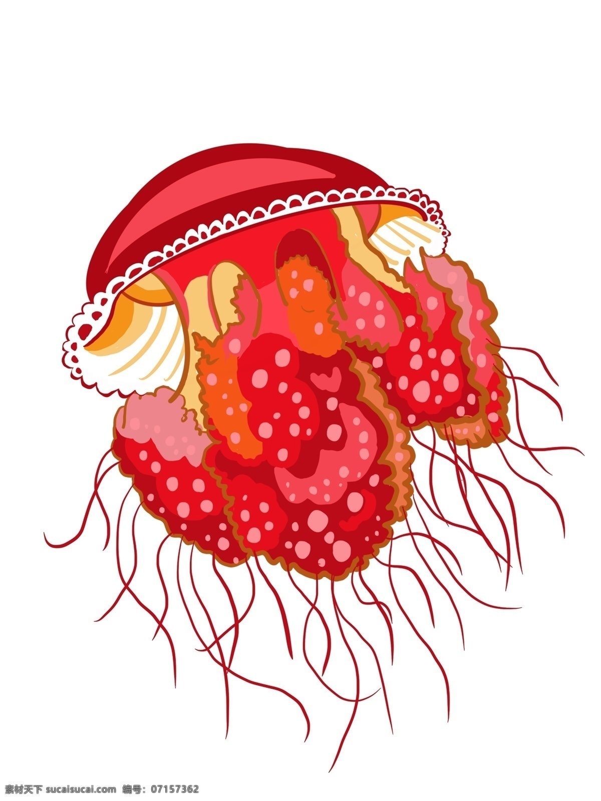 水 生物 红色 水母 海洋生物 水生物