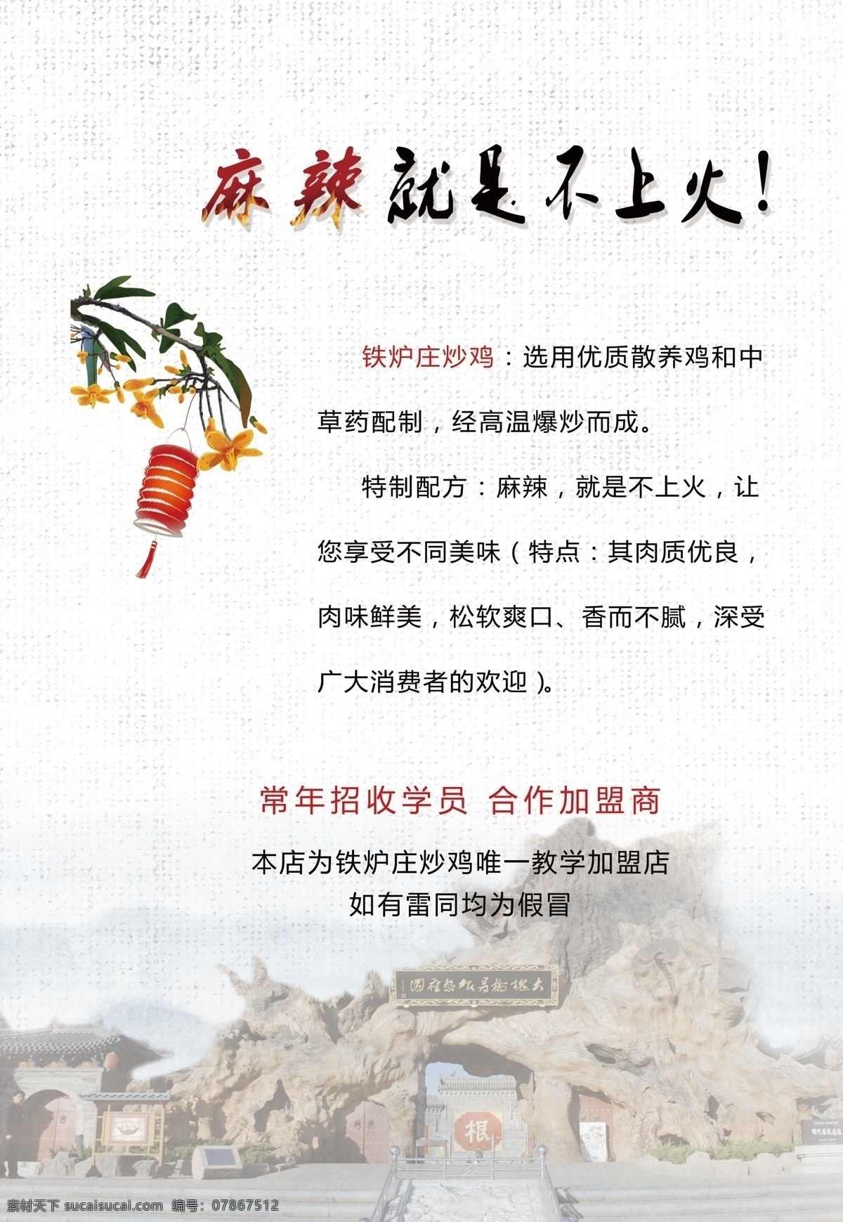 高檔菜譜 菜譜 菜單 炒雞菜譜 家常菜