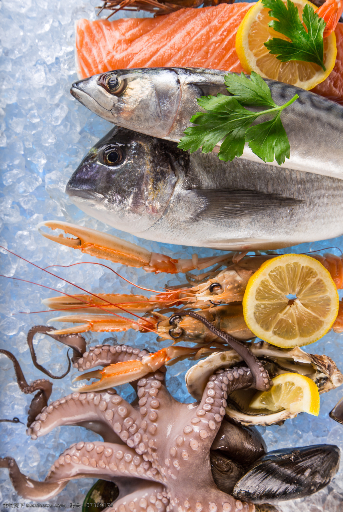 冰凍的海鮮 海鮮 海產(chǎn)品 章魚 海魚 海蝦 三文魚刺身 鰲蝦 青蝦 白蝦 海鮮大咖 海鮮組合 冰塊 冰凍 水產(chǎn) 食物 食材 美味的海鮮 高清圖片 餐飲美食 食物原料