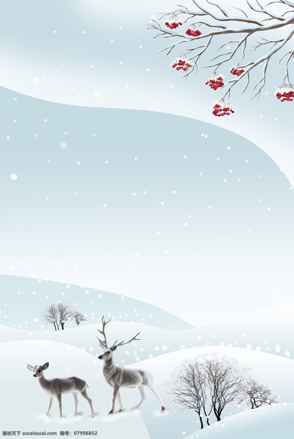中國 傳統(tǒng) 節(jié)氣 大寒 二十四節(jié)氣 冬季 雪天 下雪 冰天雪地 雪 雪景 簡約