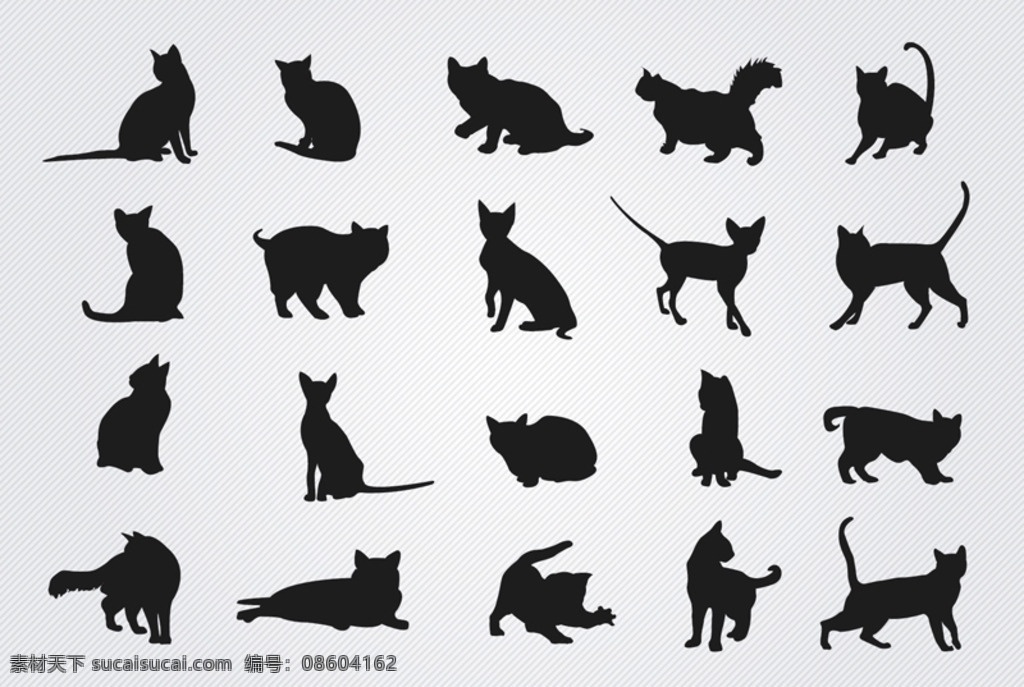 黑色 猫咪 剪影 矢量 猫 黑白 可爱 剪影素材 生物世界 家禽家畜