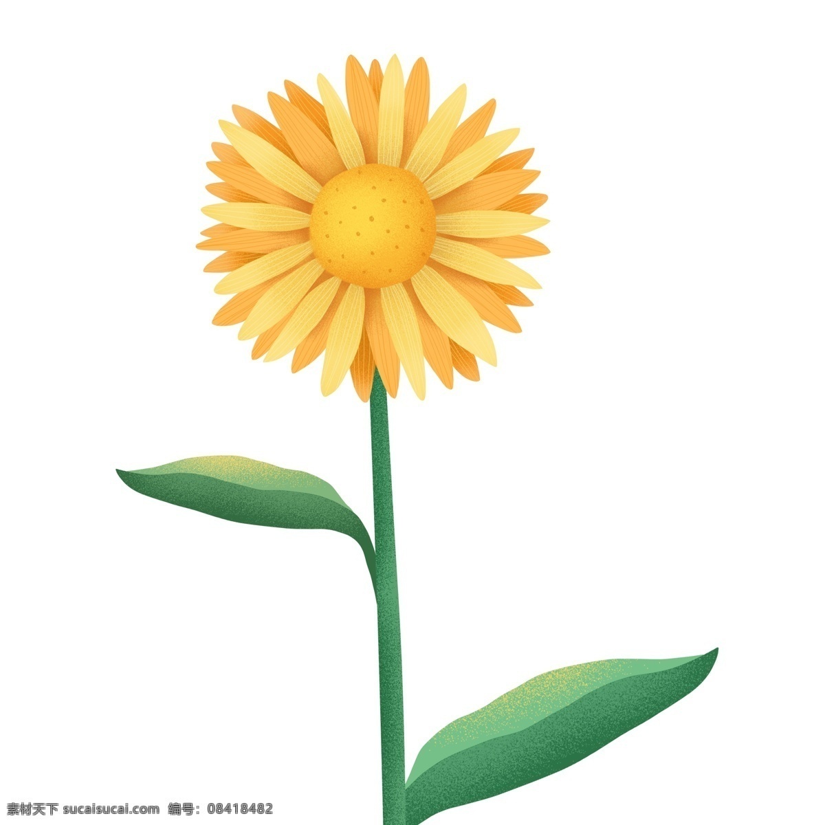 清新 唯美 植物 向日葵 黄色 插画 卡通 花卉 太阳花
