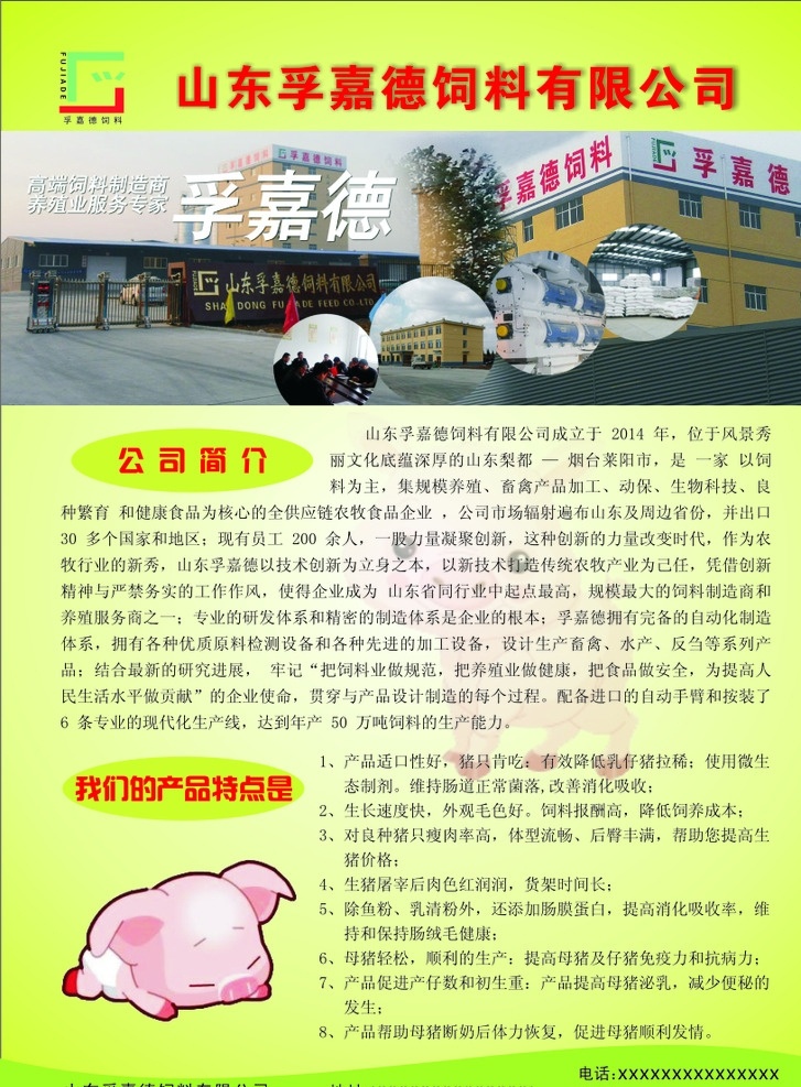 饲料宣传单 孚嘉德 饲料 公司简介 产品特点 牲猪 彩页 dm宣传单
