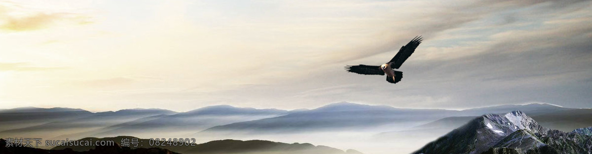 企业 文化 banner 白色