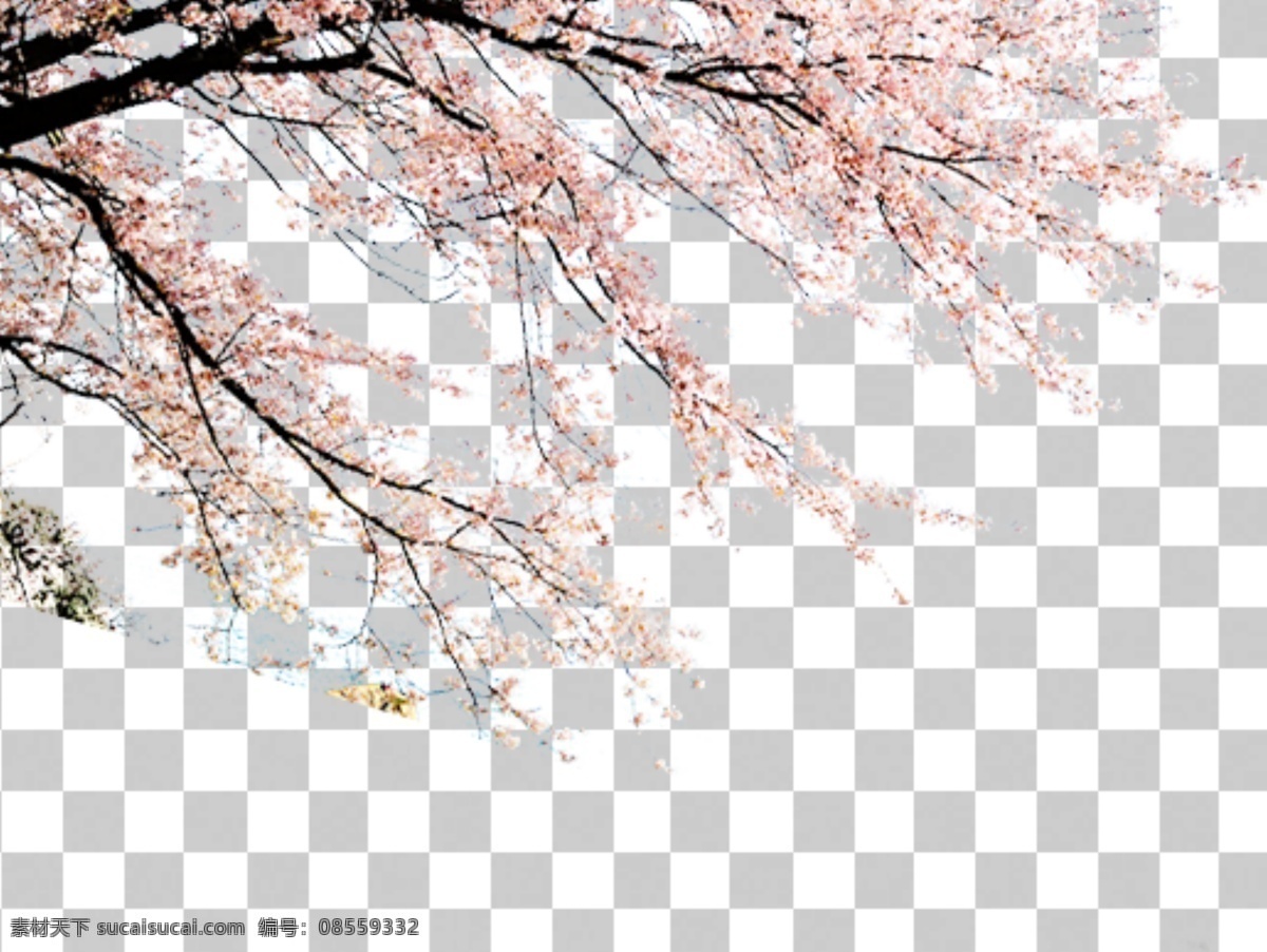 透明 底 梅花 透明底梅花 梅花圖案 桃花 梅花背景 中國風(fēng) 中國風(fēng)素材 梅 寒梅 山水畫 水墨畫 水墨畫素材 山水畫素材 臘梅 臘梅背景 花 花素材 中國花 梅花剪影 梅花剪紙 梅蘭竹菊 梅蘭竹菊素材 梅花字畫 水墨素材 燈籠 花瓣 透明底 免摳圖 分層圖 分層 風(fēng)景
