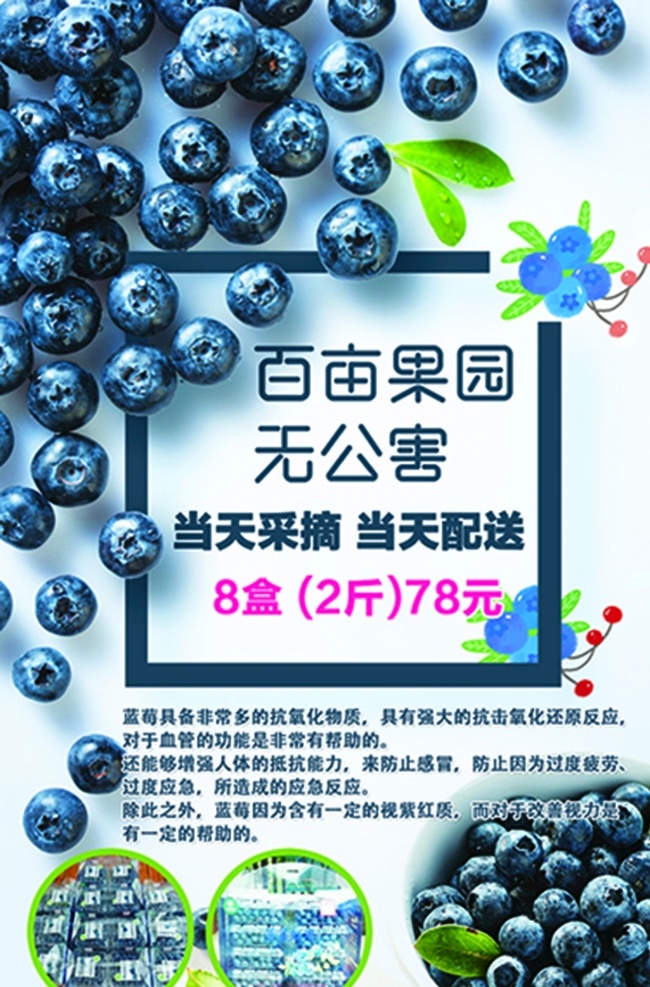 藍(lán)莓海報(bào) 藍(lán)莓 海報(bào) 促銷(xiāo) 朋友圈 介紹 分層