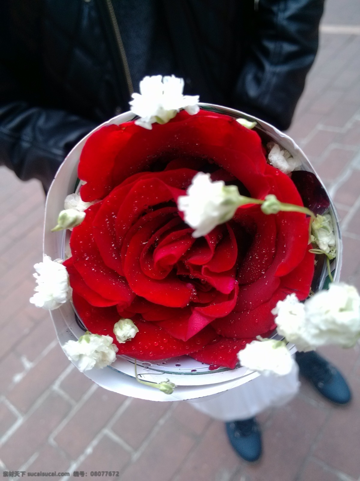 玫瑰 愛情 紅玫瑰 花草 花朵 情人節(jié) 生物世界 鮮花 拿著玫瑰 送玫瑰 節(jié)日素材 情人節(jié)七夕