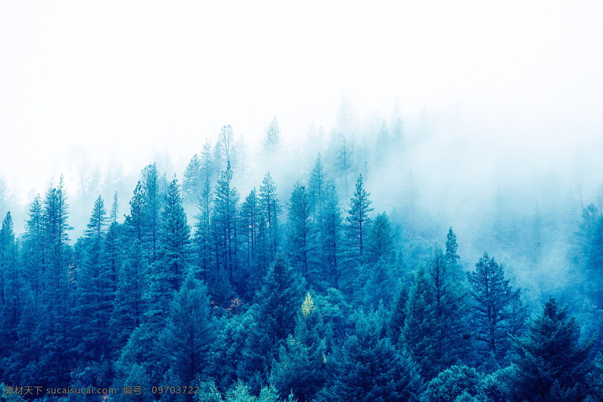 云霧山林 云霧 山林 樹林 俯瞰 云霧繚繞 自然景觀 自然風景