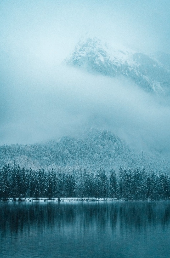 雾森林图片 雾 森林 雪山森林 湖面 静雪山森林 自然景观 自然风景