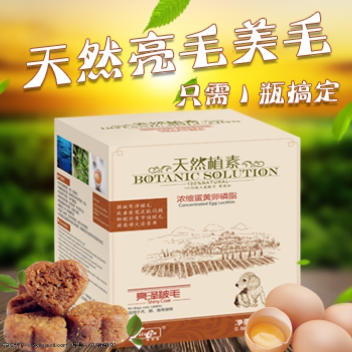 宠物 保健品 淘宝图 直通车图 宠物保健品 医疗保健品 美毛用品 京通车图 原创设计 原创淘宝设计