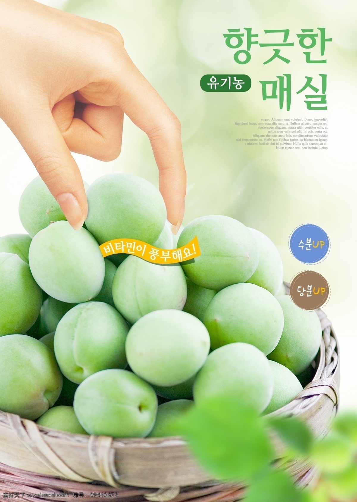韩国海报 韩国食品 餐饮 海报 餐饮海报 蔬菜海报 蔬菜水果