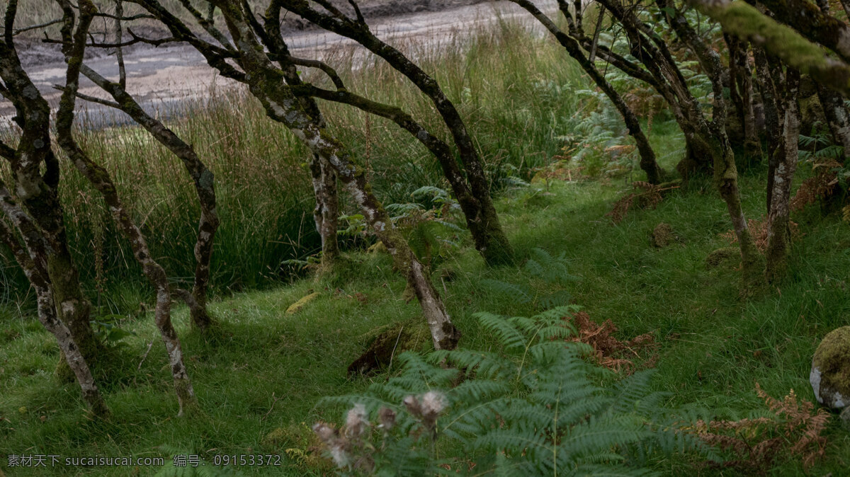 自然風(fēng)光圖片 自然風(fēng)光 風(fēng)景 河流山川 流水 草地 景區(qū) 田園風(fēng)光 田地 田園 農(nóng)村 鄉(xiāng)村 藍(lán)天 白云 民居 房屋 群山 山 高山 巖石 樹木 森林 懸崖 大樹 海邊 海水 灘涂 濕地 湖水 湖泊 瀑布 溪水 自然風(fēng)光2 自然景觀 自然風(fēng)景