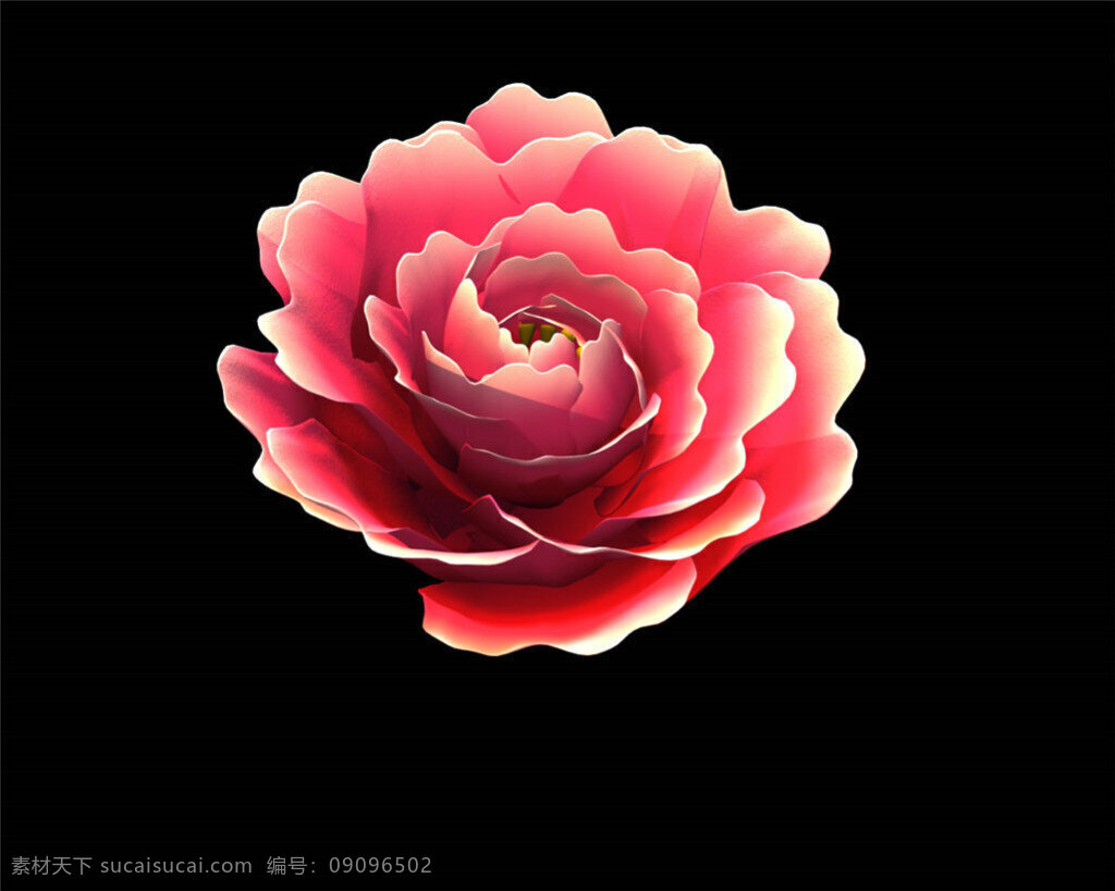 盛開 牡丹花 動態(tài) 效果 mov 視頻 鮮花 花朵 花瓣 開放 動態(tài)視頻 特效視頻 mov素材 視頻下載