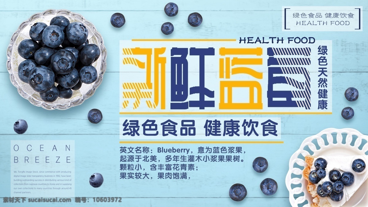 蓝色 简约 清新 夏季 水果 蓝莓 促销 展板 美食 新鲜 美味