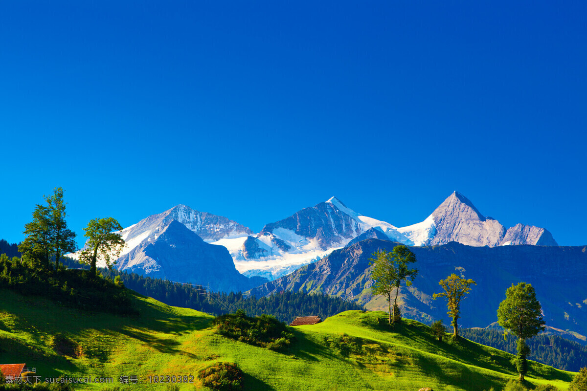 阿尔卑斯山 美景 山水美景 山水 自然美景 山坡 山林 自然景观 山水风景