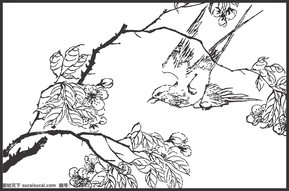 植物 花卉 觀賞 鳥兒 裝飾 線條 矢量 插畫 白描 花鳥白描圖 生物世界 鳥類