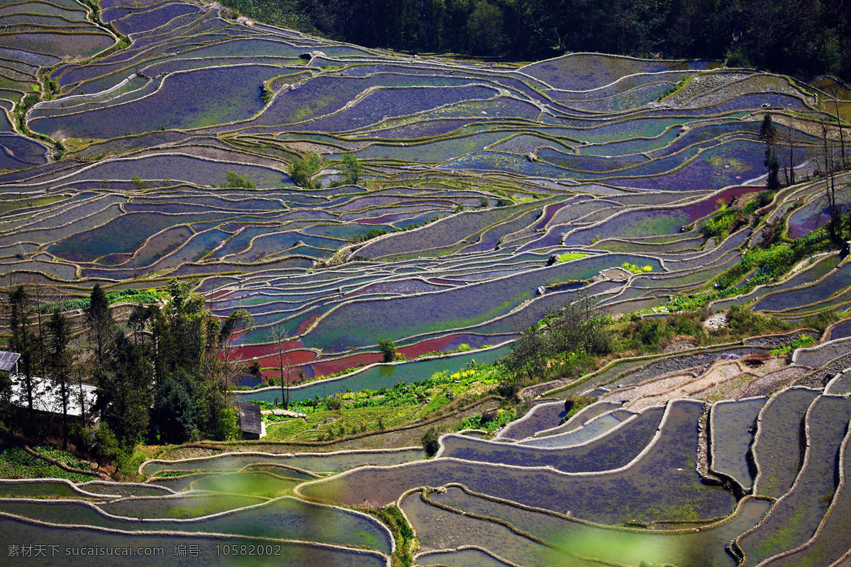 云南 元陽(yáng) 梯田 風(fēng)景
