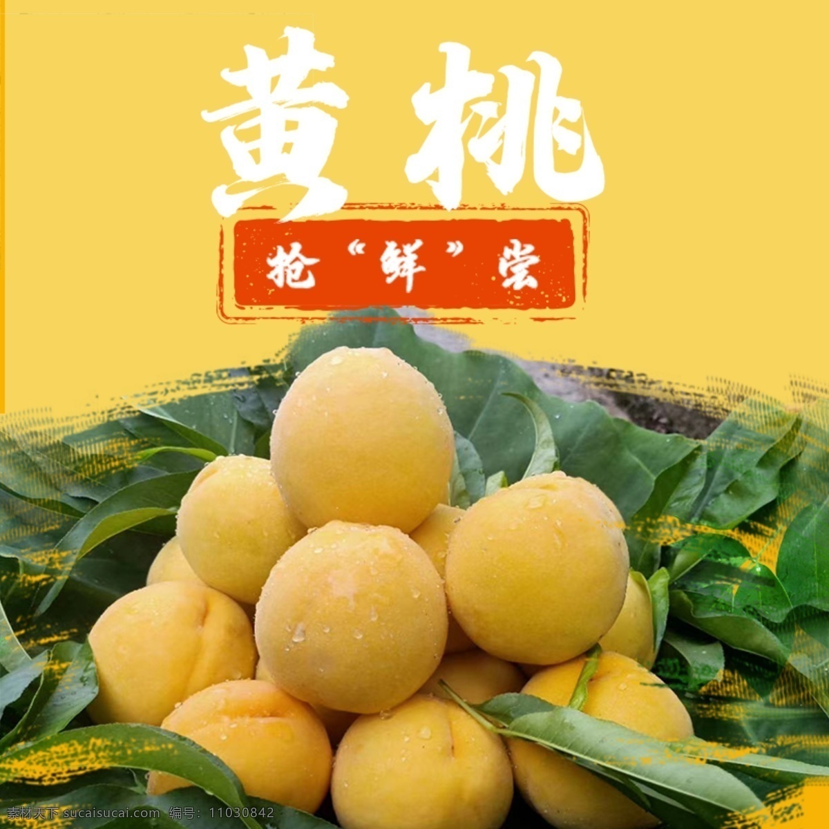 黃桃主圖 鮮 黃桃 主圖 搶鮮嘗 筆刷 黃底 分層