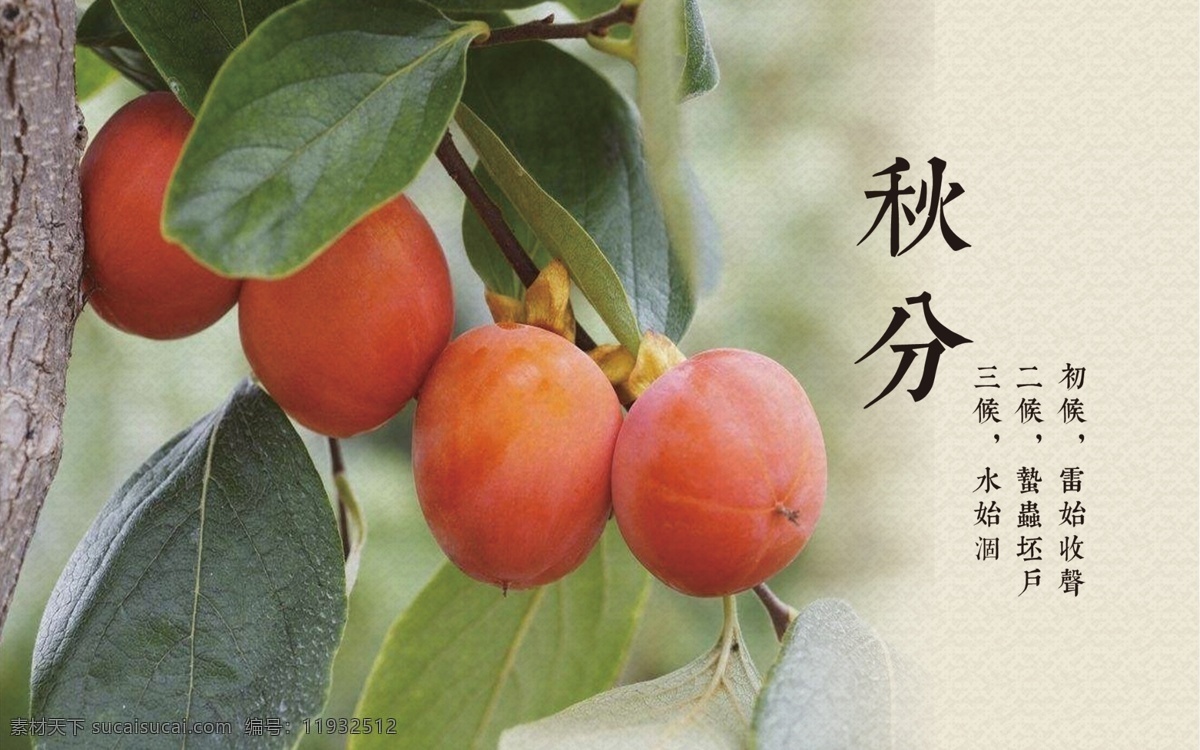 二十四節(jié)氣 燈箱 秋分 八卦 圓形 文化藝術(shù) 傳統(tǒng)文化