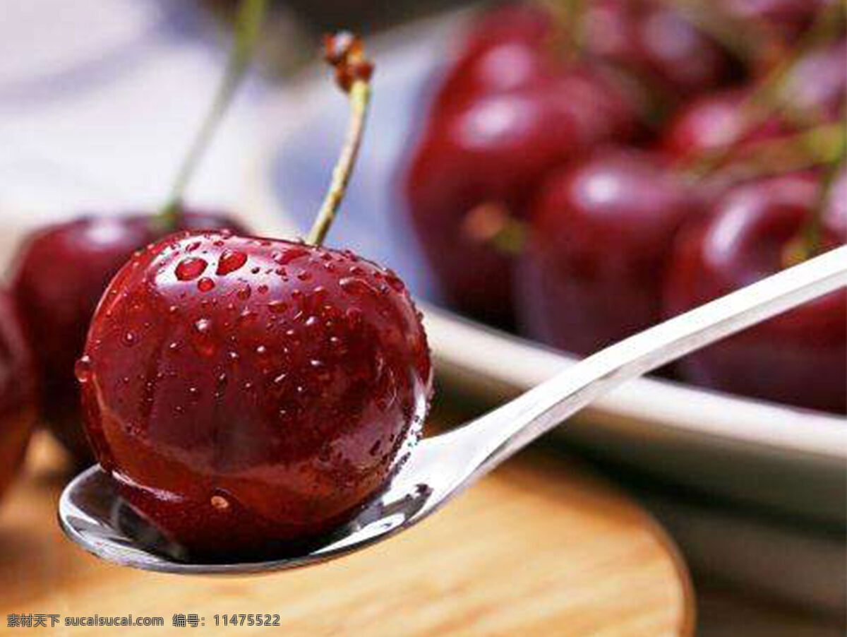 樱桃 水果 植物 食物 生物世界