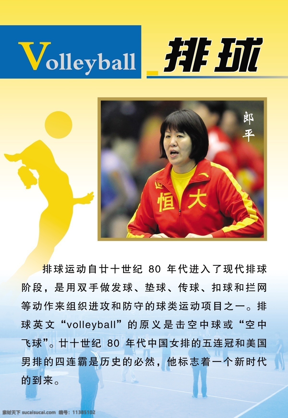 排球 郎平 排球運動 發(fā)球 墊球 傳球 扣球 攔網(wǎng) 中國女排 展板模板 廣告設(shè)計模板 源文件