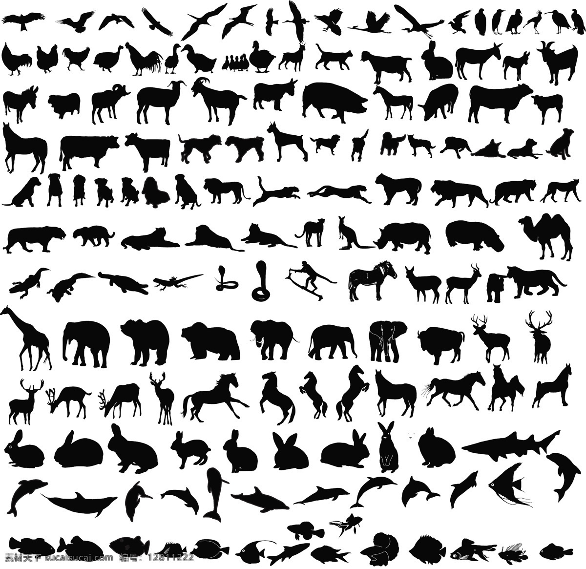 动物黑白剪影 动物 森林动物图片 森林动物 动物剪影 大象 长颈鹿 各种动物 共享图