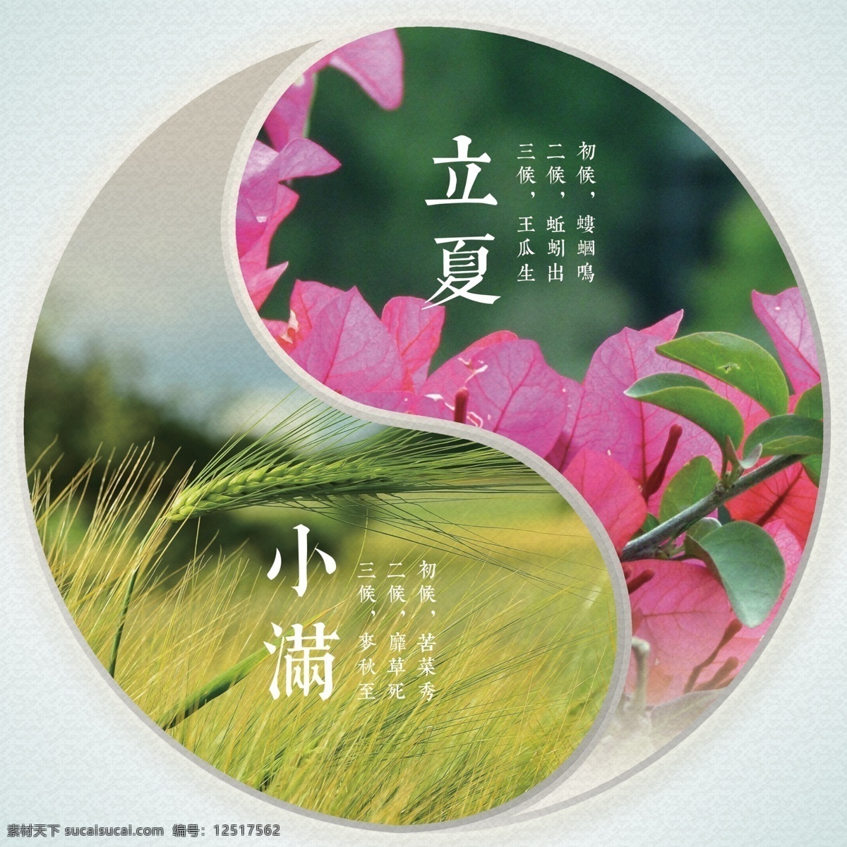 二十四節(jié)氣 燈箱 圖 立夏 小滿 八卦 圓形 文化藝術 傳統(tǒng)文化