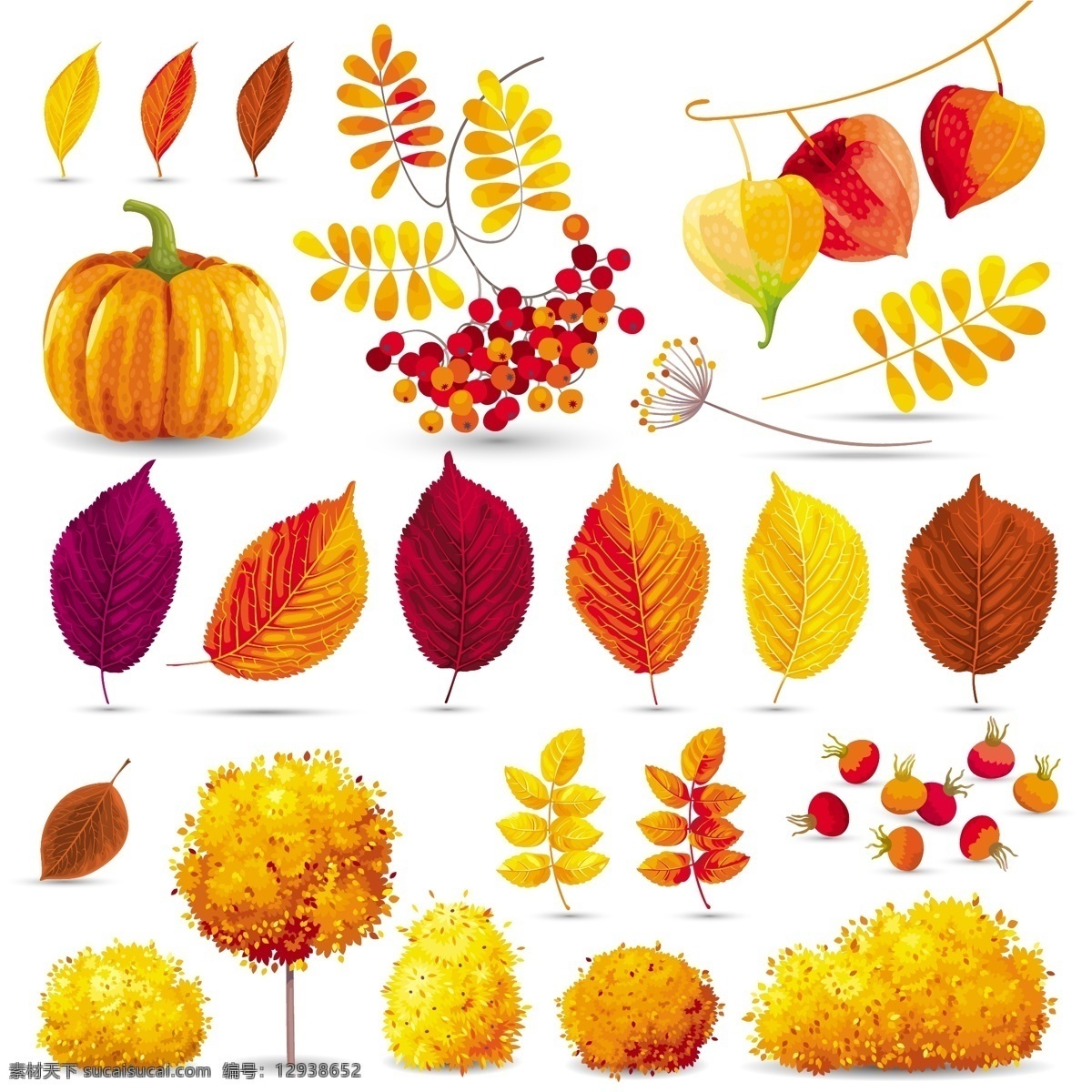 秋天 丰收 植物 插画 叶子 枫叶 南瓜 大树 唯美 展板模板