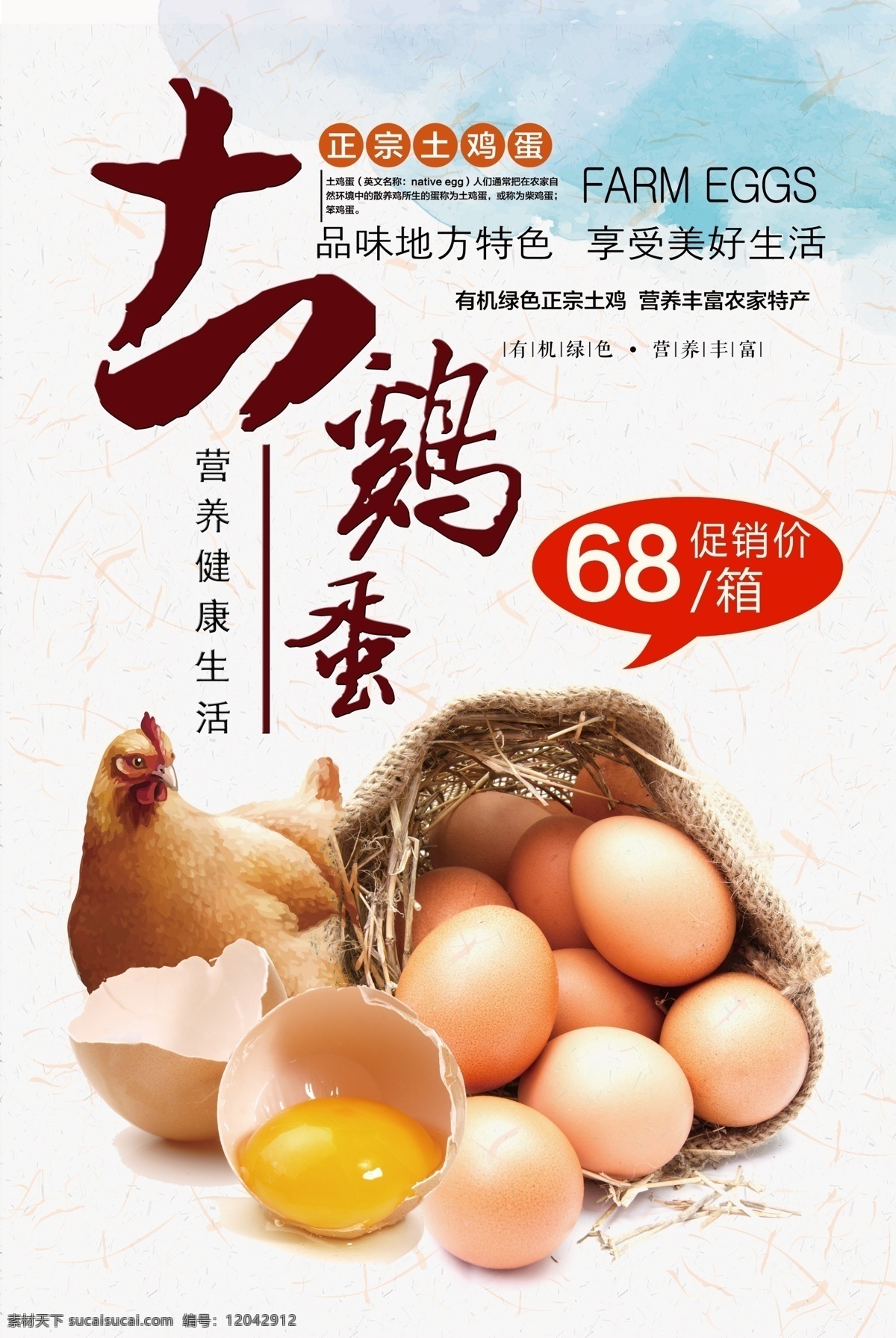 土雞蛋海報(bào) 土雞蛋 柴雞蛋 土雞蛋特寫 茶雞蛋特寫 散養(yǎng)柴雞蛋 散養(yǎng)土雞蛋 紅皮雞蛋 分層