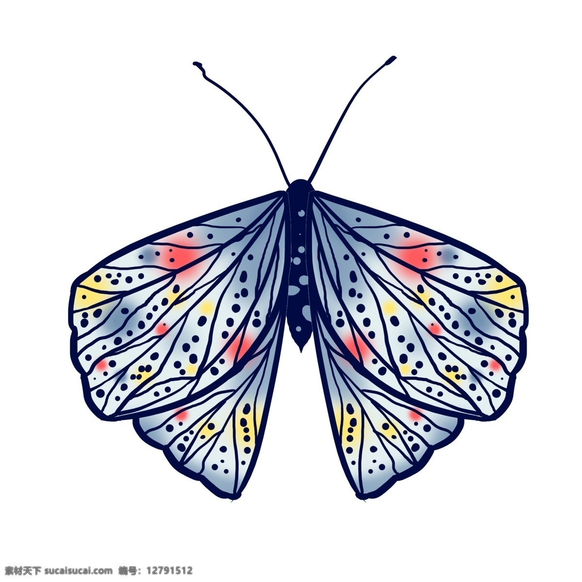 昆虫 蝴蝶 标本 动物 手绘 卡通