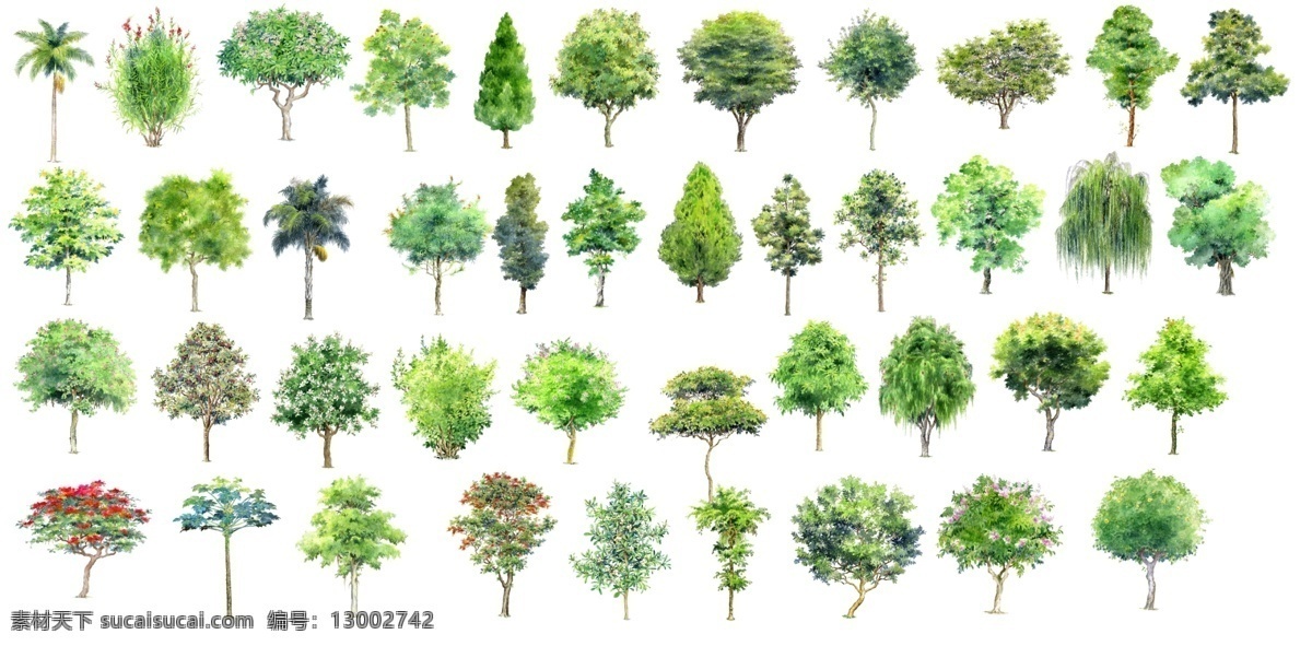 花圃 建筑園林 綠色植物 苗木 樹木 植物素材 自然景觀 分層 建筑 白色