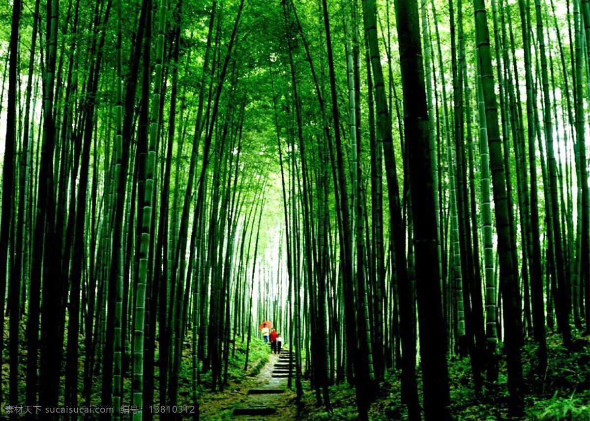 竹海 国家森林公园 森林公园 风景 自然风光 自然 自然景观 建筑景观