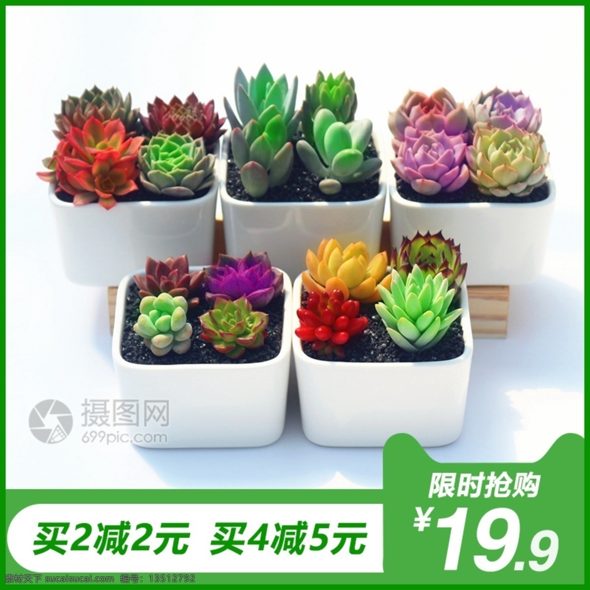 肉 植物 促銷 淘寶 主 圖 多肉植物 多漿植物 多肉 植物盆景 盆栽肉肉 主圖 電商主圖 淘寶主圖 天貓主圖 淘寶直通車 電商 天貓