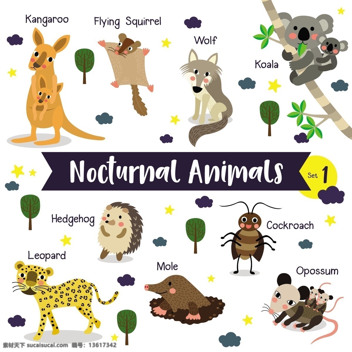 袋鼠 世界各地 野生动物 卡通 形象 矢量 夜晚 行动 动物 豹子 护理 野狗 老虎 森林 小动物 插画