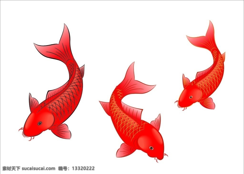 红鱼 金鱼 鲤鱼 游动的鱼 鱼 传统文化 文化艺术 矢量