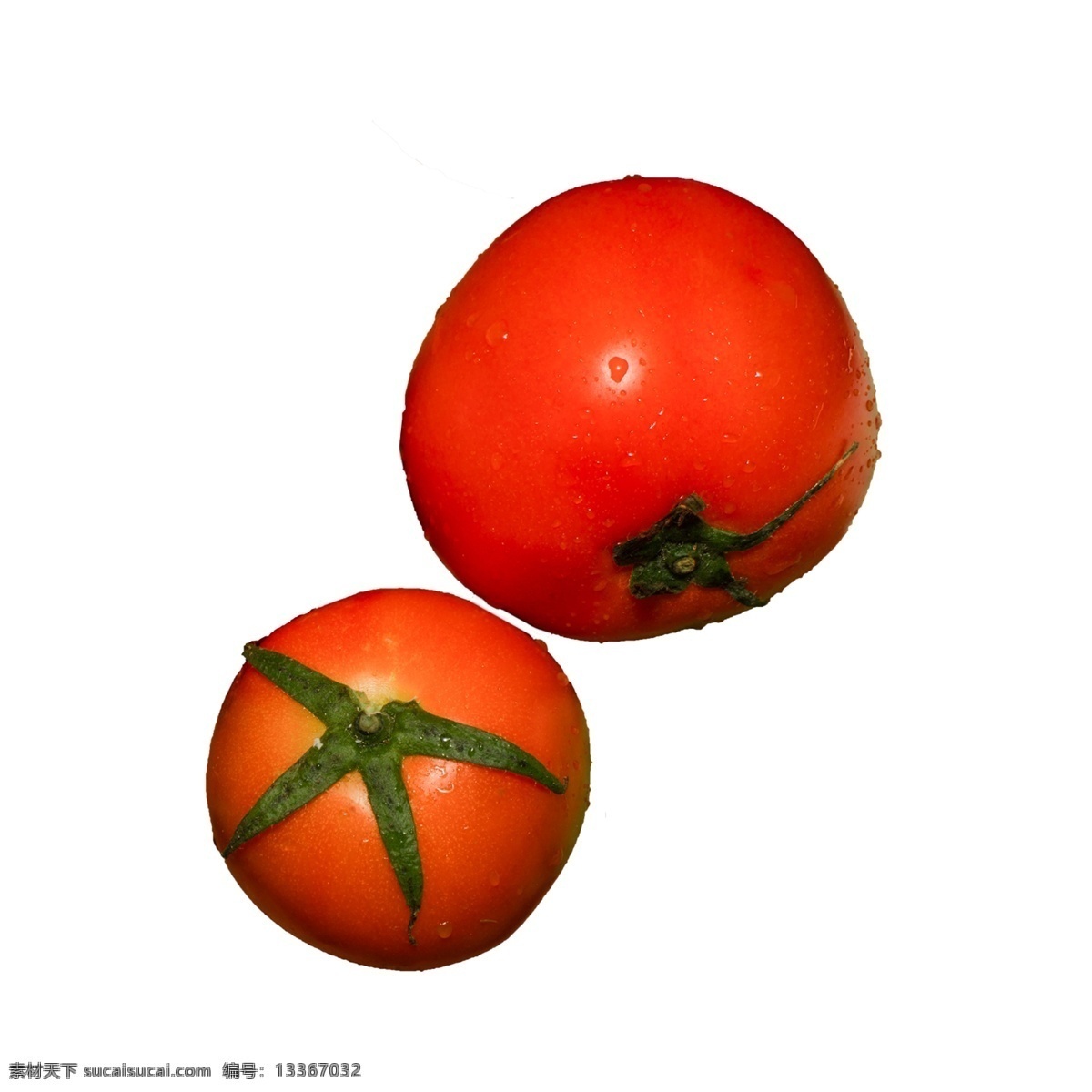 西紅柿 蔬菜 免 摳 營養(yǎng) 美味 植物 兩個西紅柿 紅色 圣女果 實物 拍攝 番茄