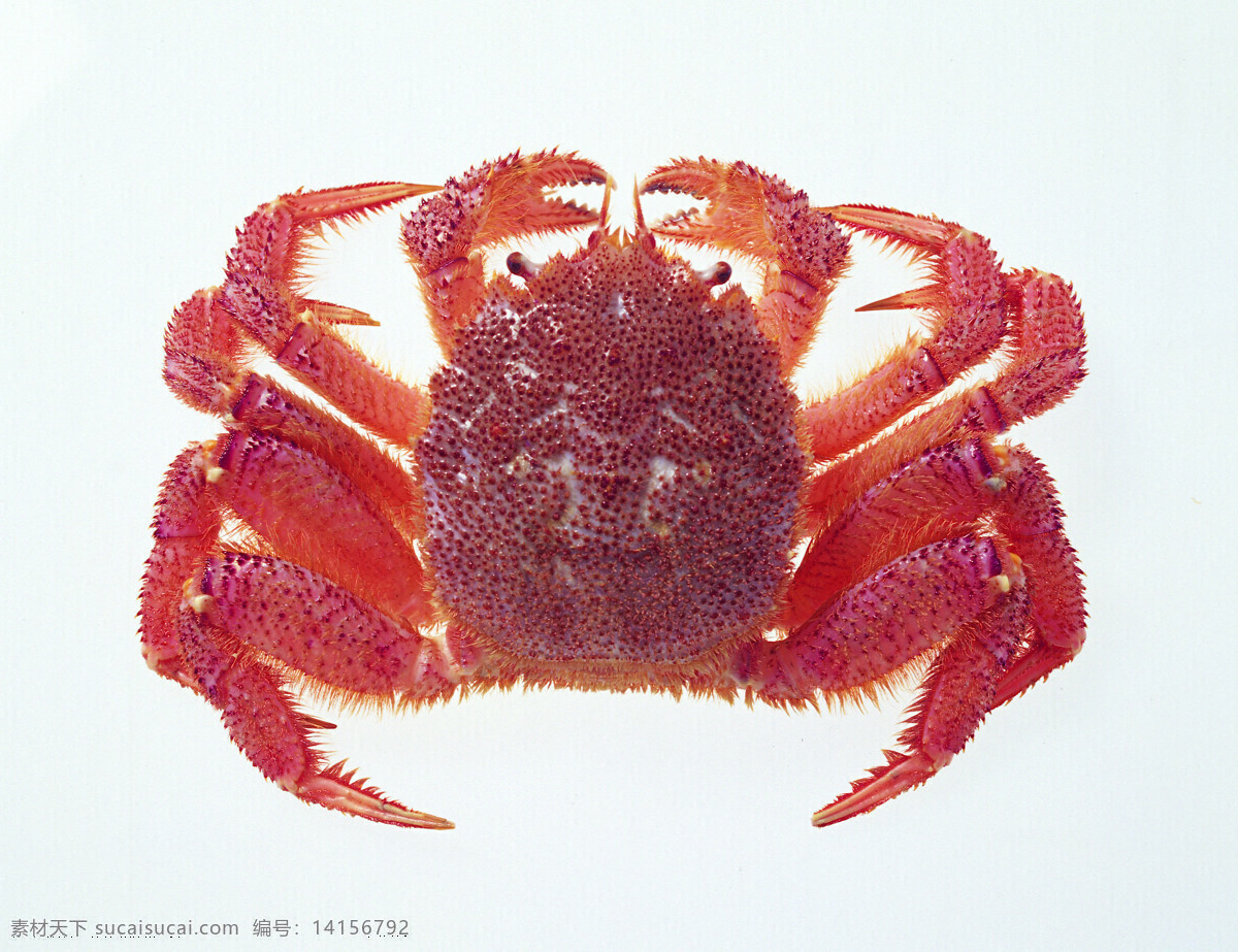魚免費(fèi)下載 海鮮 魚 魚船 魚火鍋 魚類 魚類筆刷 魚頭火鍋 風(fēng)景 生活 旅游餐飲