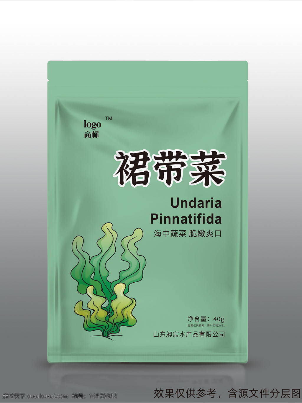 裙帶菜 海帶 裙帶 裙帶素材