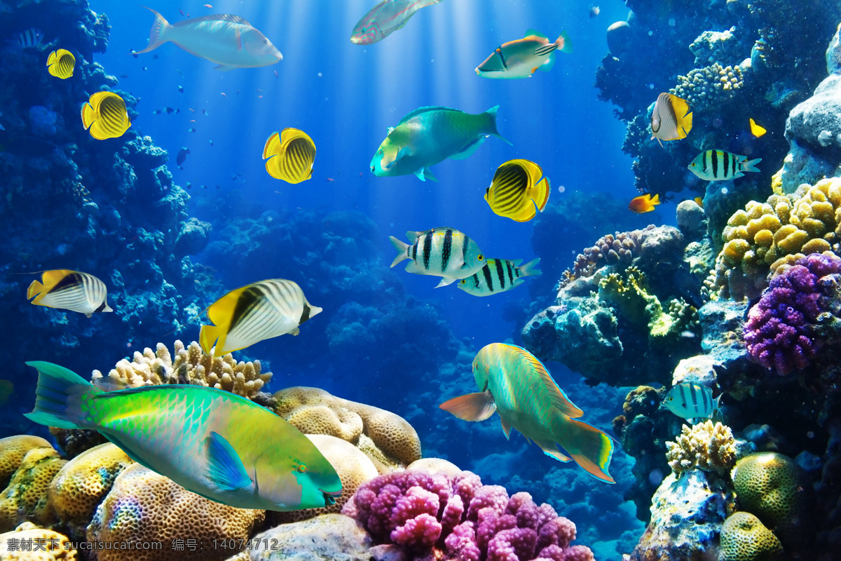 3d 绚丽多彩 美轮美奂 海底 世界 背景 墙 海底世界 背景墙 3d渲染 3d模型 效果图
