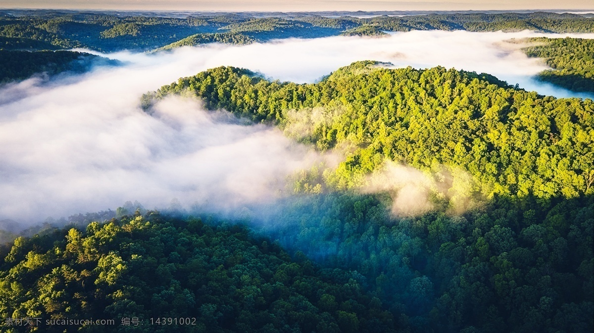山林 云彩 云霧 裊繞 云霧裊繞 森系 樹林 俯視 自然景觀 人文景觀