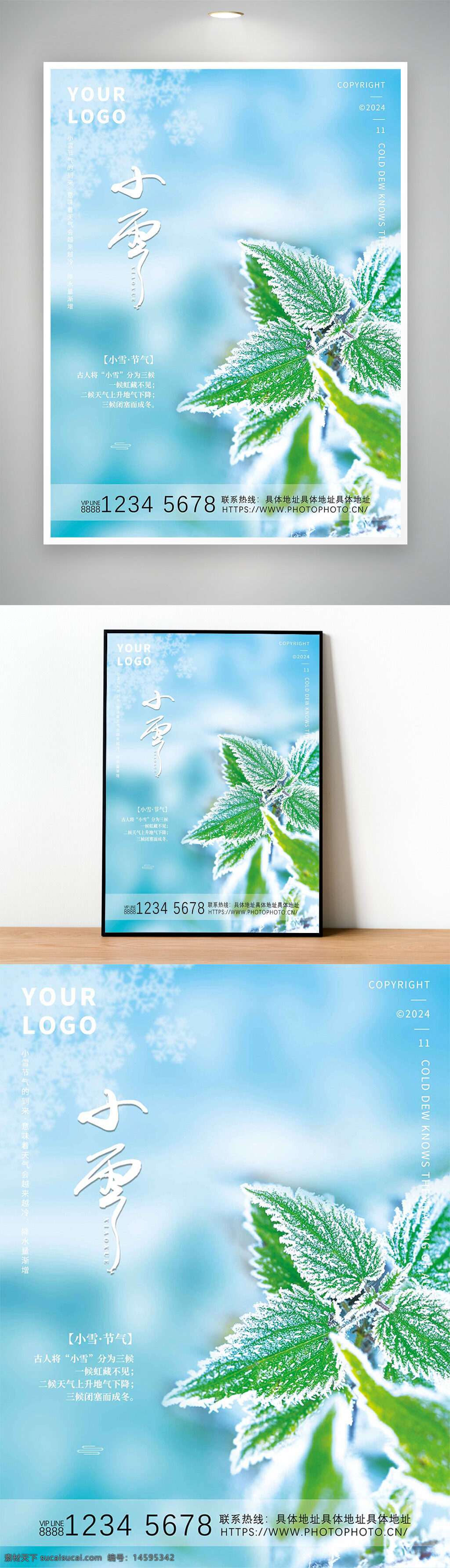 小雪 節(jié)氣 冬季 霜凍 寒冷 冬天 自然 植物 葉子 白霜 冰霜 寒露 天氣 大自然 季節(jié)變化 傳統(tǒng)文化 霜降 冬日 雪花