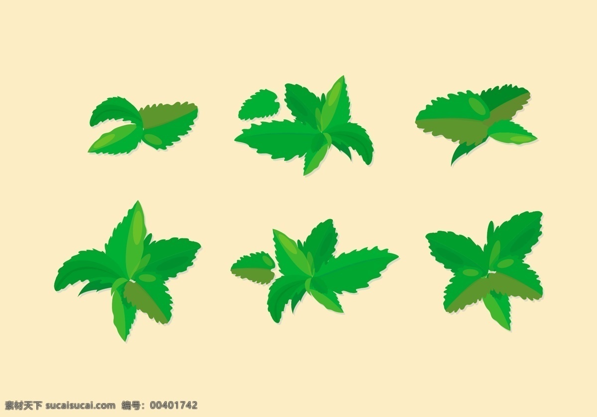 手绘茶叶叶子 叶子 手绘叶子 手绘茶叶 茶叶 树叶 矢量素材 手绘植物