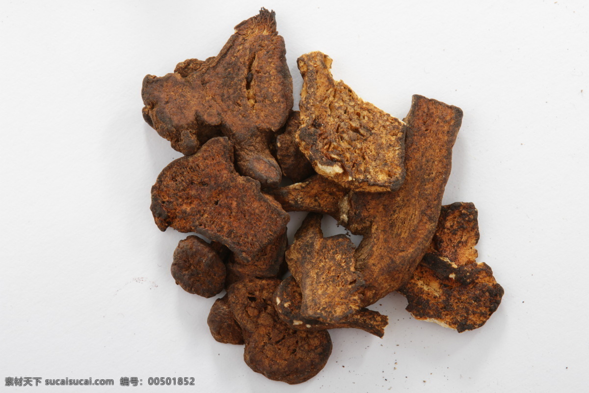 炒 白术 草药 生活百科 生活素材 药 药品 中草药 炒白术 矢量图 日常生活