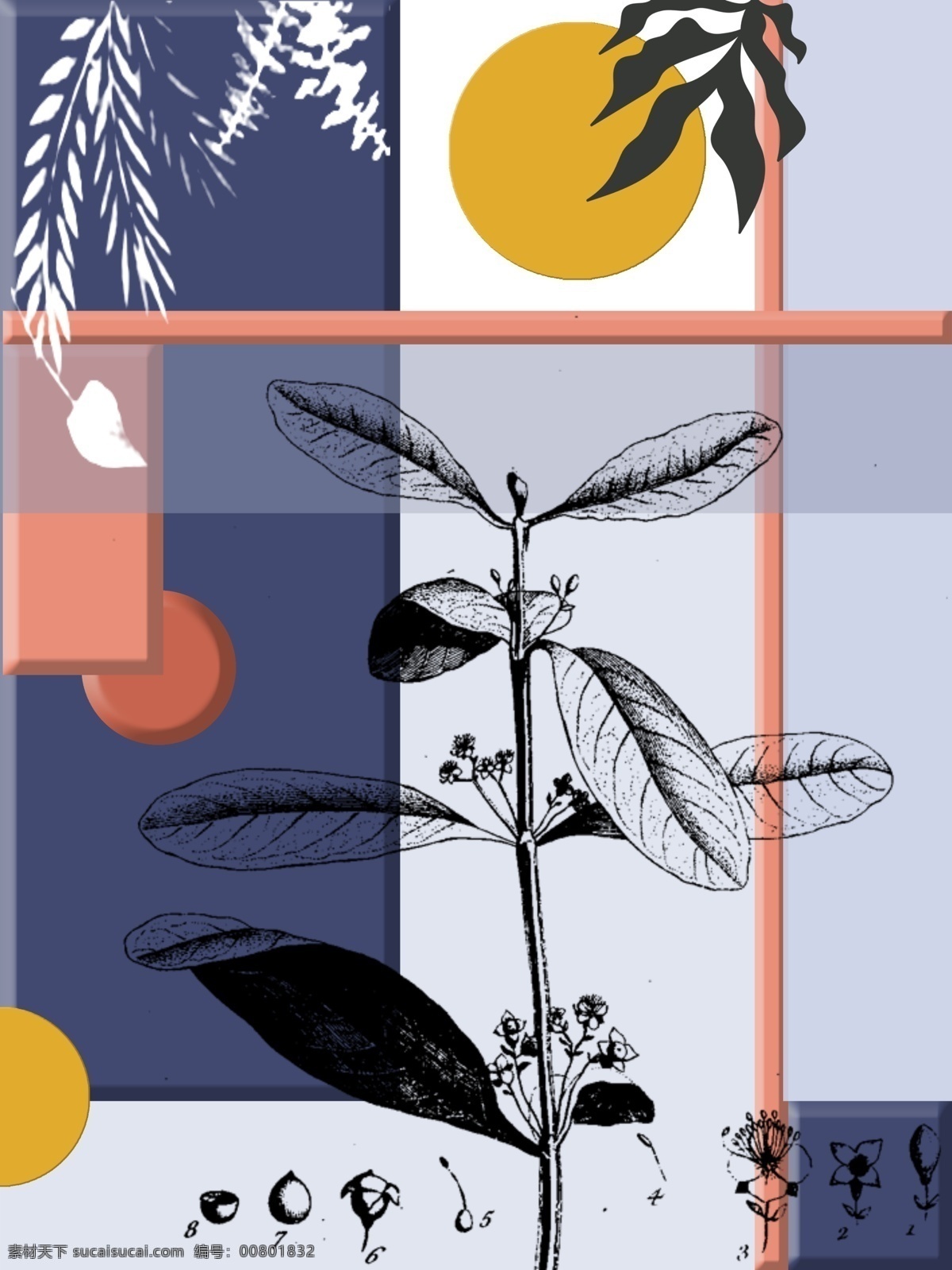现代感 手绘 植物 几何 组合 春日 北欧 装饰画 简约 手绘植物 几何组合 春日配色