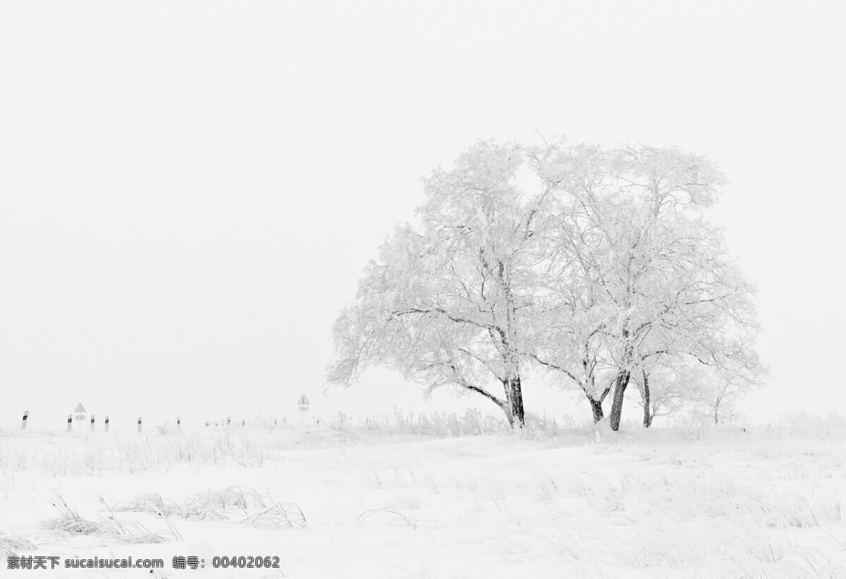 雪白的艺术 冬日 野外 风景 树木 白雪 白色